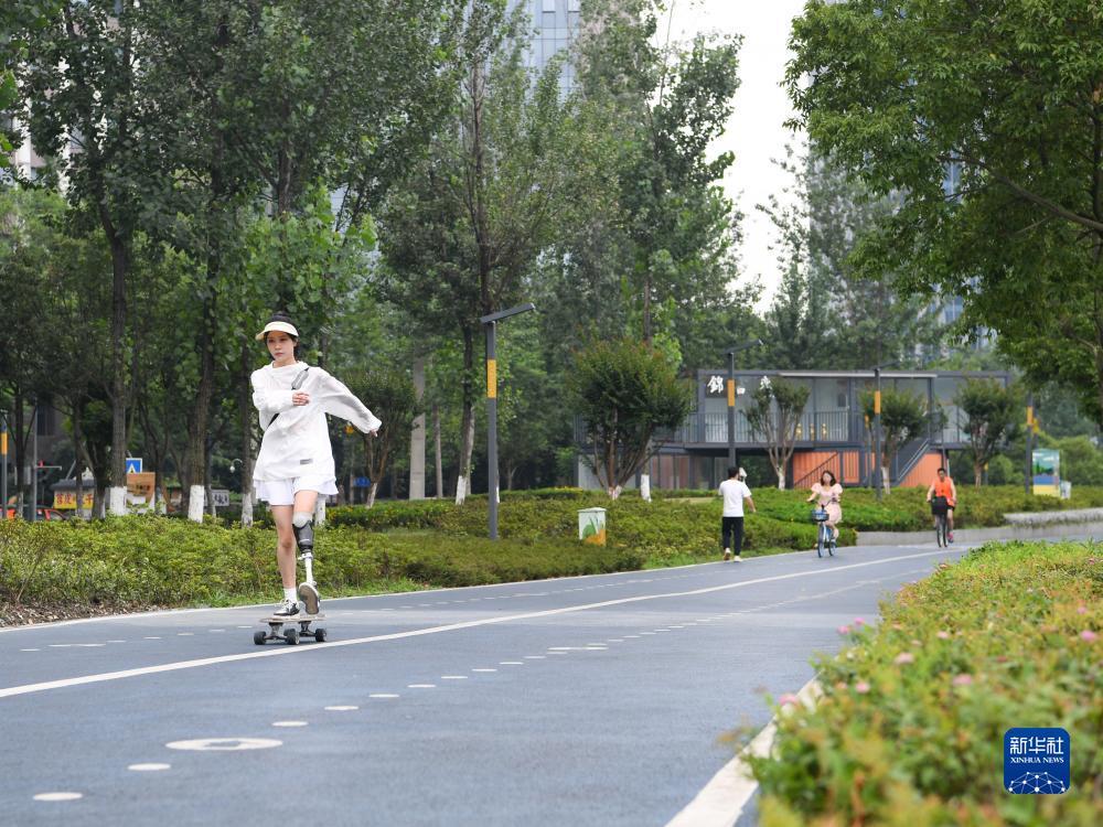 金彩网官网